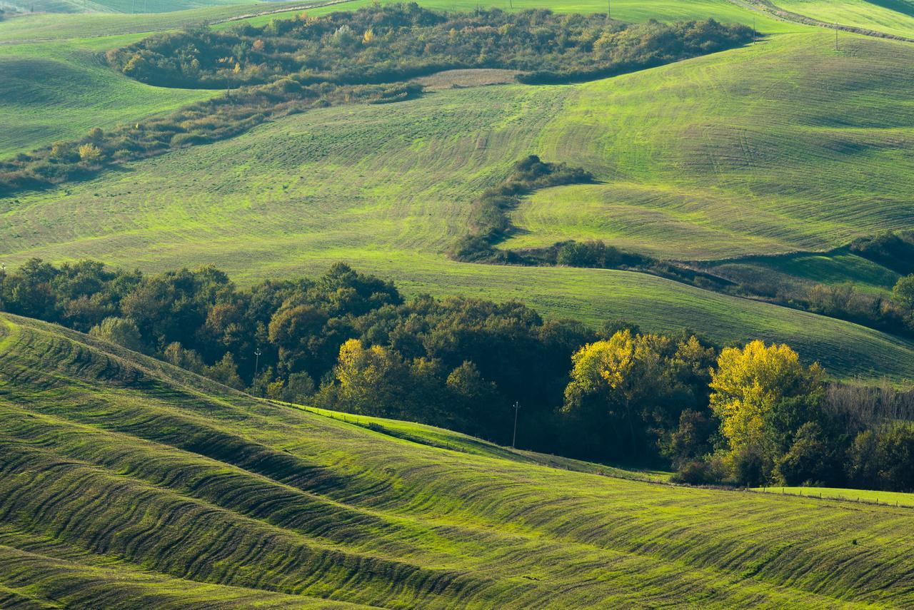 Podere Ampella Villa San Giovanni dʼAsso Esterno foto
